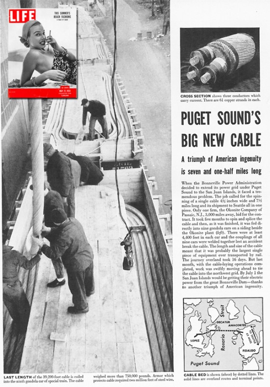 submarine-cable-goes-live-opalco-s-75th-anniversary